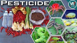 How to Make an Organic Pesticide at Home