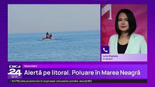 Știrile Digi24 de la ora 10 - 19 iunie