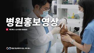 수원 눈이튼튼 동물병원 #병원홍보영상