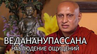 Бханте Ньянасиха. Ведананупассана, наблюдение ощущений / Студия Бодхи