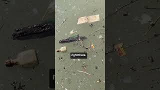 April 2024 Gowanus Canal Water Reports