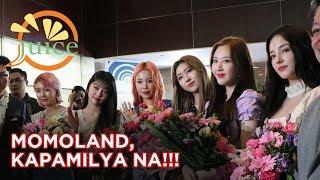 MOMOLAND, KAPAMILYA NA!