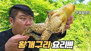 정신나간 크기의 대왕개구리 잡아서 도리뱅뱅이 만들어 먹기 ㅋㅋㅋㅋㅋㅋ