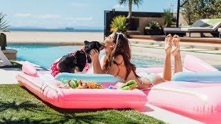 FUNBOY x Bark Luxe Dog Pool Floats