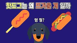 핫도그는 왜 뜨거운 개라고 불리는 걸까(핫도그의 어원)