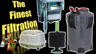 Fish Room Filtration | The Most Efficient and Effective Way!!!