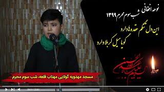 نوحه افغانی؛ این دل تنگم عقده ها دارد، گویا میل کربلا دارد | خانه دوست