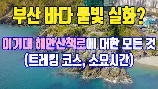 부산 이기대 해안산책로 트레킹 코스, 부산여행 걷기 좋은 길인 해파랑길을 따라 오륙도 해맞이공원까지 걸어 봤습니다.