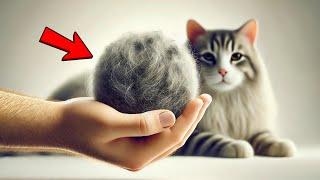 Does your cat have hairballs? Watch THIS video! 