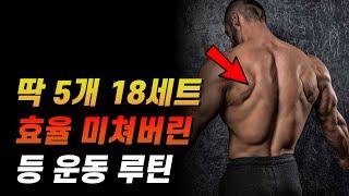 등 운동 루틴 상부부터 하부 광배근까지 다 털어주는 5종목 18세트