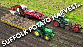 4Kᵁᴴᴰ July 2024: Potato harvest in Friston - Fendt 828, Grimme GT 170, John Deere 6R 140, AH trailer