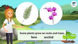 SCIENCE01L17: Characteristics of Plants