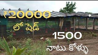 20,000 వేలలో నాటు కోళ్ల షెడ్ #Natukolla Business in telugu @Houseoffarming