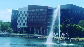 University of Miami Coral Gables fountain Florida USA Serban Cioca :)