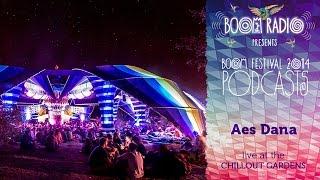 Aes Dana - Chill Out Gardens 02 - Boom Festival 2014