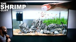 The Shrimp Cliff: NEW Shrimp Setup for Neocaridina Aquascape Tutorial