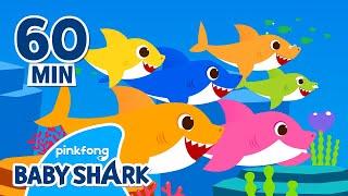 Baby Shark Doo Doo Doo 1 hour | +Compilation | Songs for Kids | Baby Shark Official