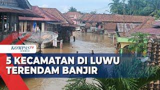 Hujan Deras di Luwu Sulsel Buat Banjir di 5 Kecamatan! Fasilitas Rusak dan Akses Jalan Terhambat