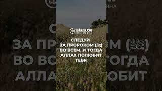 Следуй за Пророком ﷺ во всем, и тогда Аллах полюбит тебя. Харам во время маулида. Ислам – это Сунна