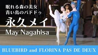 【天才バレリーナ】永久メイ　青い鳥とフロリナ王女のパドドゥ| Bluebird and Florina  Pas de Deux