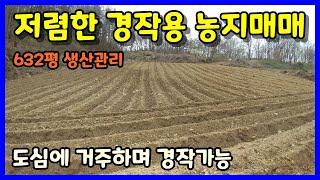 [청주토지매매] 저렴한 경작용 시골맹지 / 청주시 상당구 미원면 가양리 토지매매