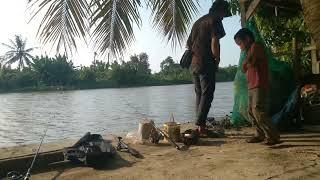 MANCING DI MUARA CIPARAGE‼️PANEN STREKE @assepdedens