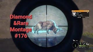 Diamond and Rare Montage #176 /The Hunter Call of the Wild Montage