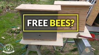 How To Build a Swarm Trap | Swarm Trap | Capture Wild Honey Bees!