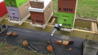 Quick Varroa Mite treatment for honey bees with Oxalic Acid Vapor