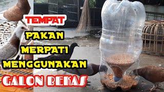 CARA MEMBUAT TEMPAT PAKAN MERPATI MENGGUNAKAN GALON BEKAS #merpati #merpatikolong #burung