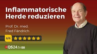 Effektive Mikroorganismen: Die wohl günstigste Gesundheitsprävention! | Dr. med. Fändrich | @QS24