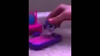 Littlest Pet Shop "LPS" Little did you know. By Alex & Sierra