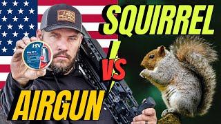 SQUIRRELS VS. AIRGUNS PT1: Who Will Win the Savage Slug Hunt? I HN 30 cal airgun hunting with slugs