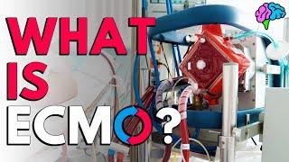 What is ECMO? The basics explained.