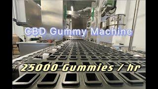 CBD/THC gummy machine | 320 lbs of gummy per hr