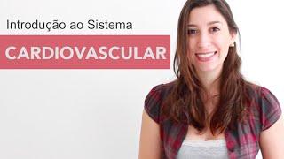 Sistema Cardiovascular 1/6: Introdução | Anatomia e etc.