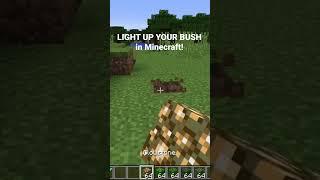 LIGHT UP YOUR BUSH in Minecraft!