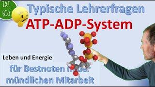 Lehrerfragen: ATP-ADP-Komplex - Leben und Energie - Assimilation