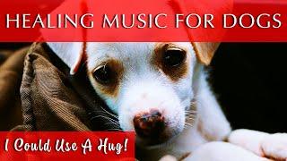 Healing Music for Dogs and Humans | 528Hz Frequency