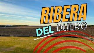 Ribera del Duero: Villages and Wines!