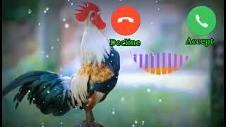 Hello | Hello aapka phone baj raha hai ringtone | super funny ringtones | funny ringtone | dialogue