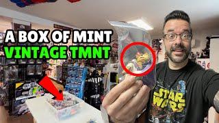 TOY HUNT at THE IMPERIAL CASTLE! Digging through BINS of VINTAGE TMNT, MOTU & Kenner Star Wars