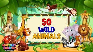 Wild animal names | 50 wild animals name in english