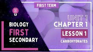 Biology 1st Secondary Egypt First Term | Unit 1 - Chapter 1 - Lesson 1 | Carbohydrates