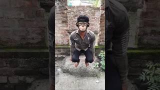 Chú chó dễ thương nhảy cao-cute dog jumping high #shorts 