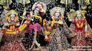 Radha Gopinath Media - ISKCON Desire Tree Live Stream