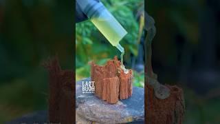 The BEST Natural Fire Starter  #survival #bushcraft #camping #outdoors