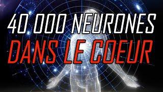 40 000 NEURONES DANS LE COEUR !