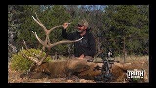 ARIZONA PUBLIC LAND BULLS