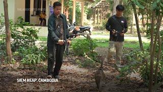 Cruelty for clicks: Cambodia is investigating YouTubers' abuse of monkeys at the Angkor UNESCO site